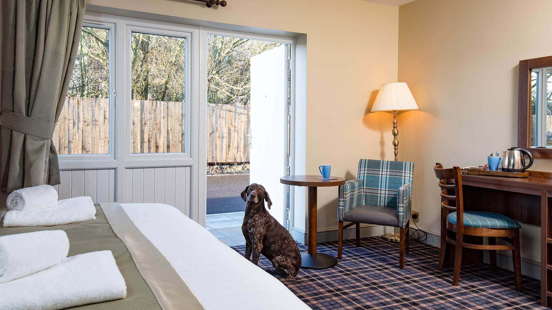 Dog friendly best sale accommodation near me